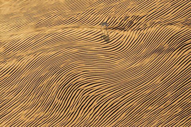 Beyond Shapes 2