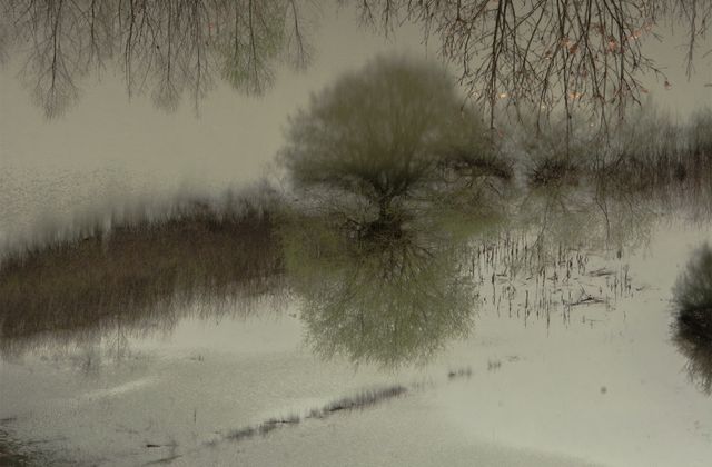 Frozen