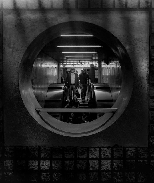 In The Circle