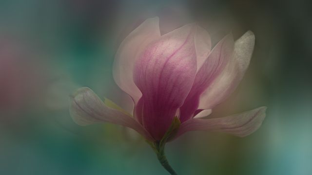 New Beginning