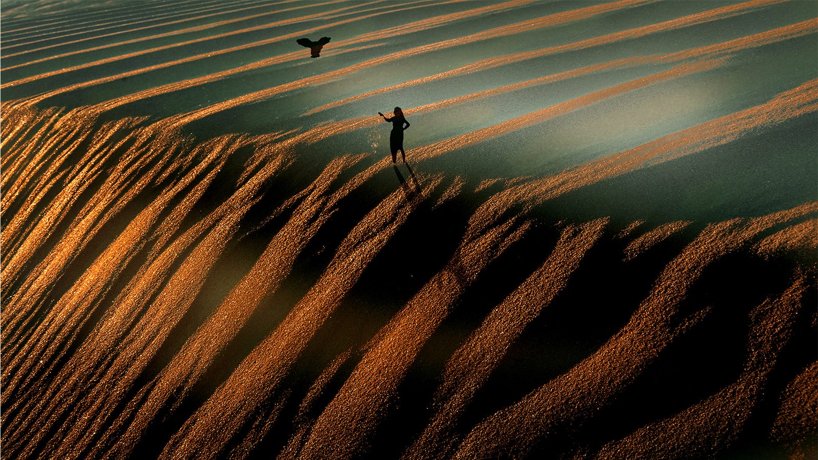 Fields Of Gold